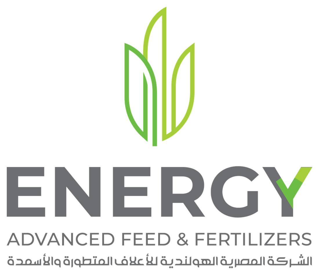 Energy logo