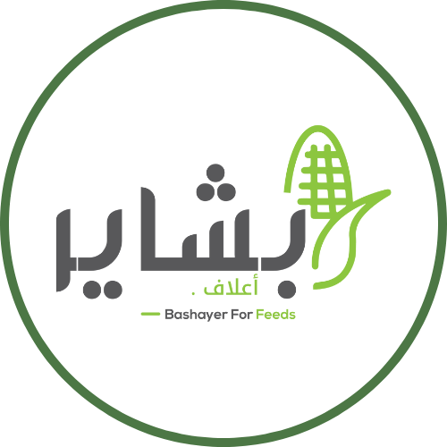 Bashayer Feed